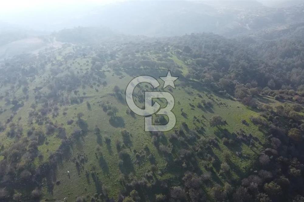  ÇANAKKALE AYVACIK PAŞAKÖY DENİZ MANZARALI YOLU OLAN 5001 M2 ARSA