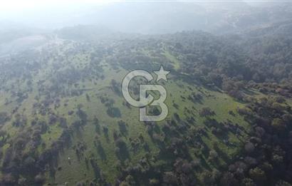  ÇANAKKALE AYVACIK PAŞAKÖY DENİZ MANZARALI YOLU OLAN 5001 M2 ARSA