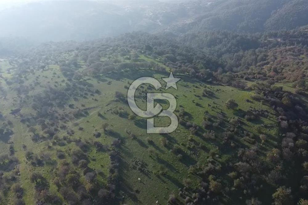  ÇANAKKALE AYVACIK PAŞAKÖY DENİZ MANZARALI YOLU OLAN 5001 M2 ARSA