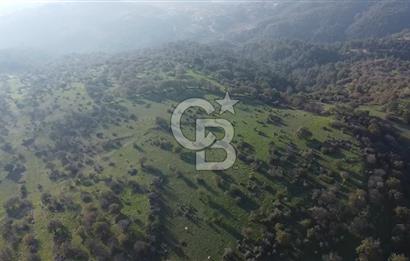  ÇANAKKALE AYVACIK PAŞAKÖY DENİZ MANZARALI YOLU OLAN 5001 M2 ARSA