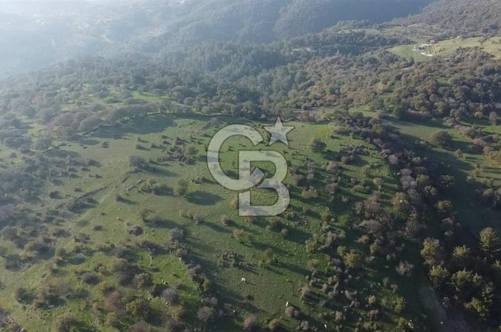  ÇANAKKALE AYVACIK PAŞAKÖY DENİZ MANZARALI YOLU OLAN 5001 M2 ARSA