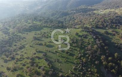  ÇANAKKALE AYVACIK PAŞAKÖY DENİZ MANZARALI YOLU OLAN 5001 M2 ARSA