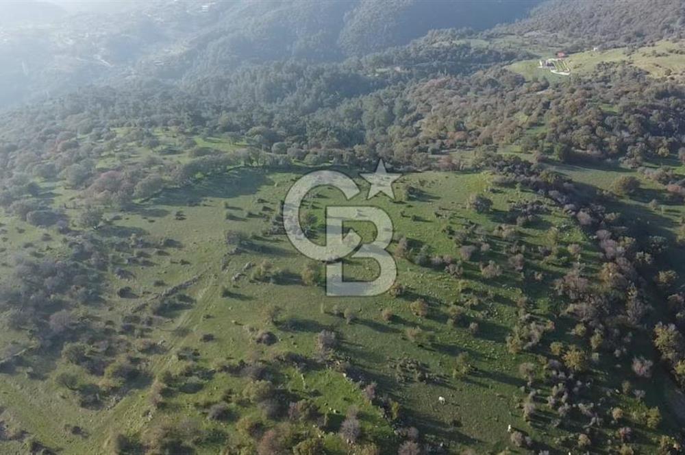  ÇANAKKALE AYVACIK PAŞAKÖY DENİZ MANZARALI YOLU OLAN 5001 M2 ARSA