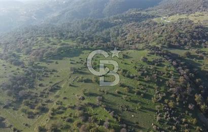  ÇANAKKALE AYVACIK PAŞAKÖY DENİZ MANZARALI YOLU OLAN 5001 M2 ARSA