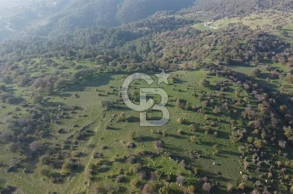  ÇANAKKALE AYVACIK PAŞAKÖY DENİZ MANZARALI YOLU OLAN 5001 M2 ARSA