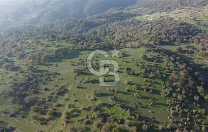  ÇANAKKALE AYVACIK PAŞAKÖY DENİZ MANZARALI YOLU OLAN 5001 M2 ARSA