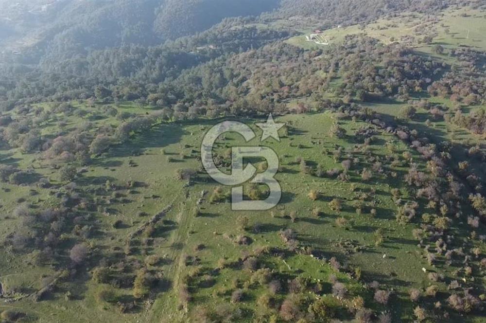  ÇANAKKALE AYVACIK PAŞAKÖY DENİZ MANZARALI YOLU OLAN 5001 M2 ARSA