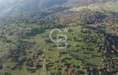  ÇANAKKALE AYVACIK PAŞAKÖY DENİZ MANZARALI YOLU OLAN 5001 M2 ARSA