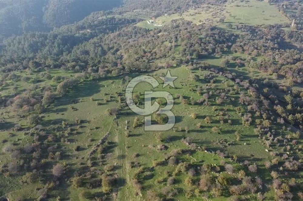  ÇANAKKALE AYVACIK PAŞAKÖY DENİZ MANZARALI YOLU OLAN 5001 M2 ARSA