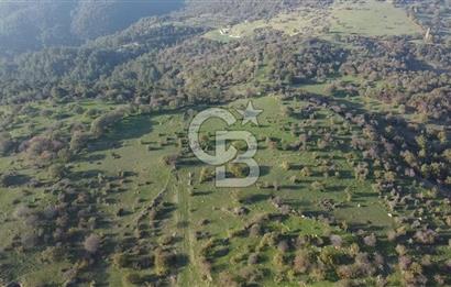  ÇANAKKALE AYVACIK PAŞAKÖY DENİZ MANZARALI YOLU OLAN 5001 M2 ARSA