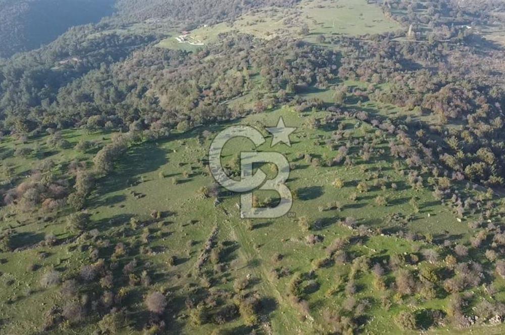  ÇANAKKALE AYVACIK PAŞAKÖY DENİZ MANZARALI YOLU OLAN 5001 M2 ARSA