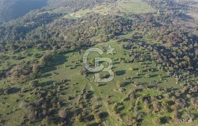  ÇANAKKALE AYVACIK PAŞAKÖY DENİZ MANZARALI YOLU OLAN 5001 M2 ARSA