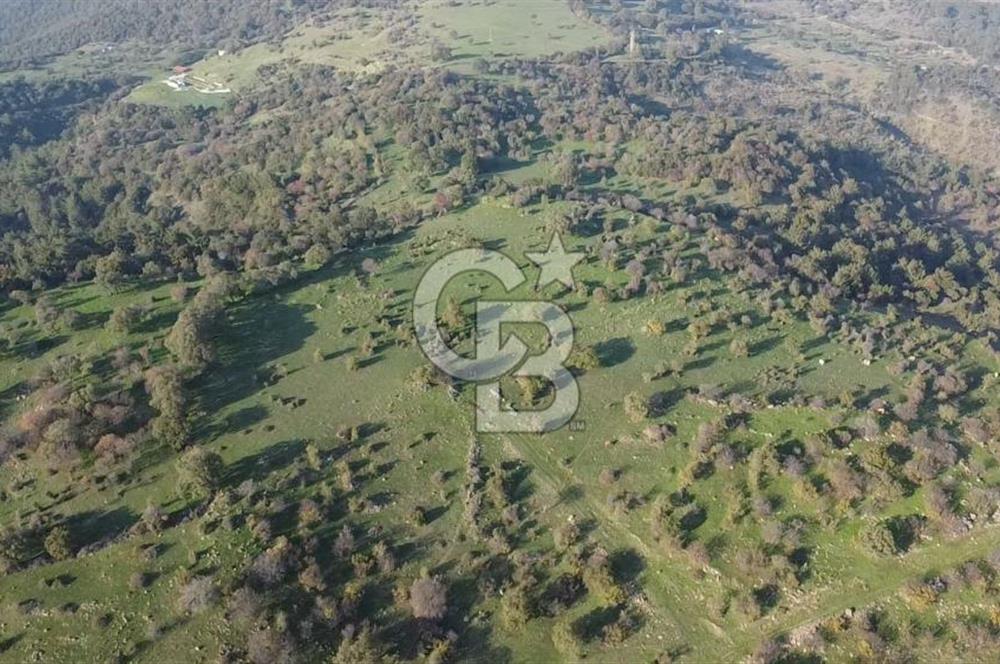  ÇANAKKALE AYVACIK PAŞAKÖY DENİZ MANZARALI YOLU OLAN 5001 M2 ARSA