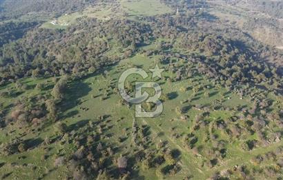  ÇANAKKALE AYVACIK PAŞAKÖY DENİZ MANZARALI YOLU OLAN 5001 M2 ARSA