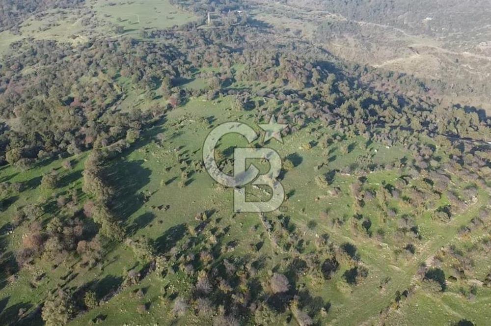  ÇANAKKALE AYVACIK PAŞAKÖY DENİZ MANZARALI YOLU OLAN 5001 M2 ARSA