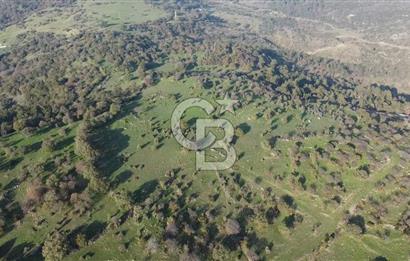  ÇANAKKALE AYVACIK PAŞAKÖY DENİZ MANZARALI YOLU OLAN 5001 M2 ARSA