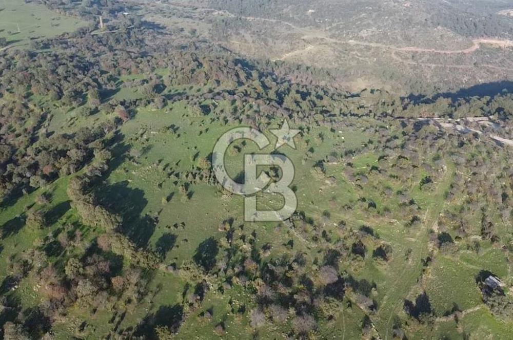  ÇANAKKALE AYVACIK PAŞAKÖY DENİZ MANZARALI YOLU OLAN 5001 M2 ARSA