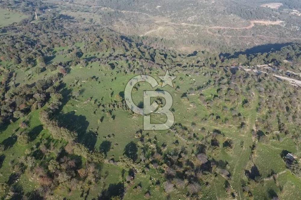  ÇANAKKALE AYVACIK PAŞAKÖY DENİZ MANZARALI YOLU OLAN 5001 M2 ARSA