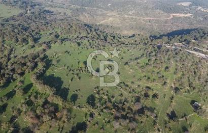  ÇANAKKALE AYVACIK PAŞAKÖY DENİZ MANZARALI YOLU OLAN 5001 M2 ARSA