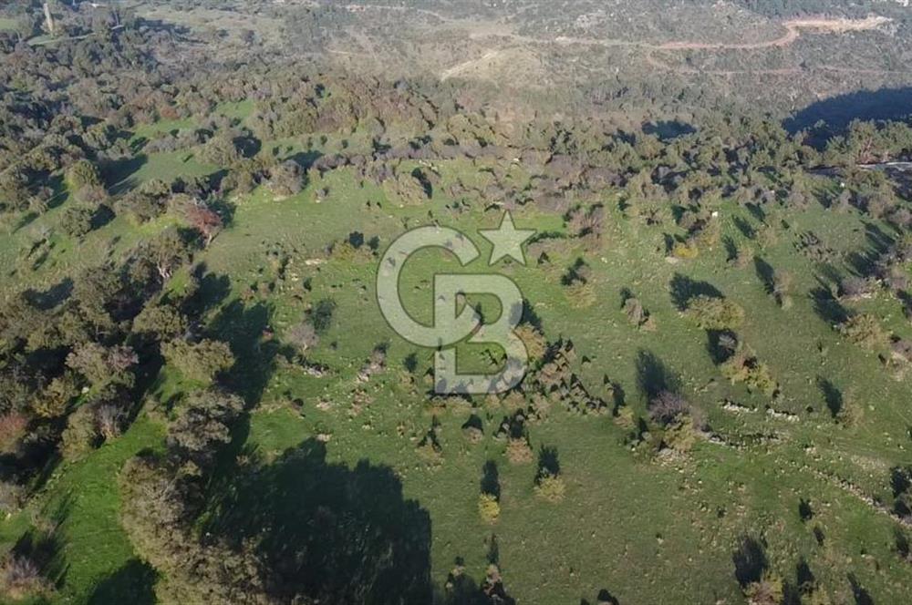  ÇANAKKALE AYVACIK PAŞAKÖY DENİZ MANZARALI YOLU OLAN 5001 M2 ARSA