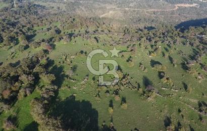 ÇANAKKALE AYVACIK PAŞAKÖY DENİZ MANZARALI YOLU OLAN 5001 M2 ARSA