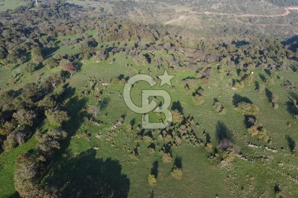  ÇANAKKALE AYVACIK PAŞAKÖY DENİZ MANZARALI YOLU OLAN 5001 M2 ARSA