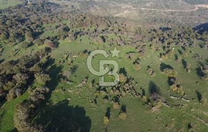  ÇANAKKALE AYVACIK PAŞAKÖY DENİZ MANZARALI YOLU OLAN 5001 M2 ARSA