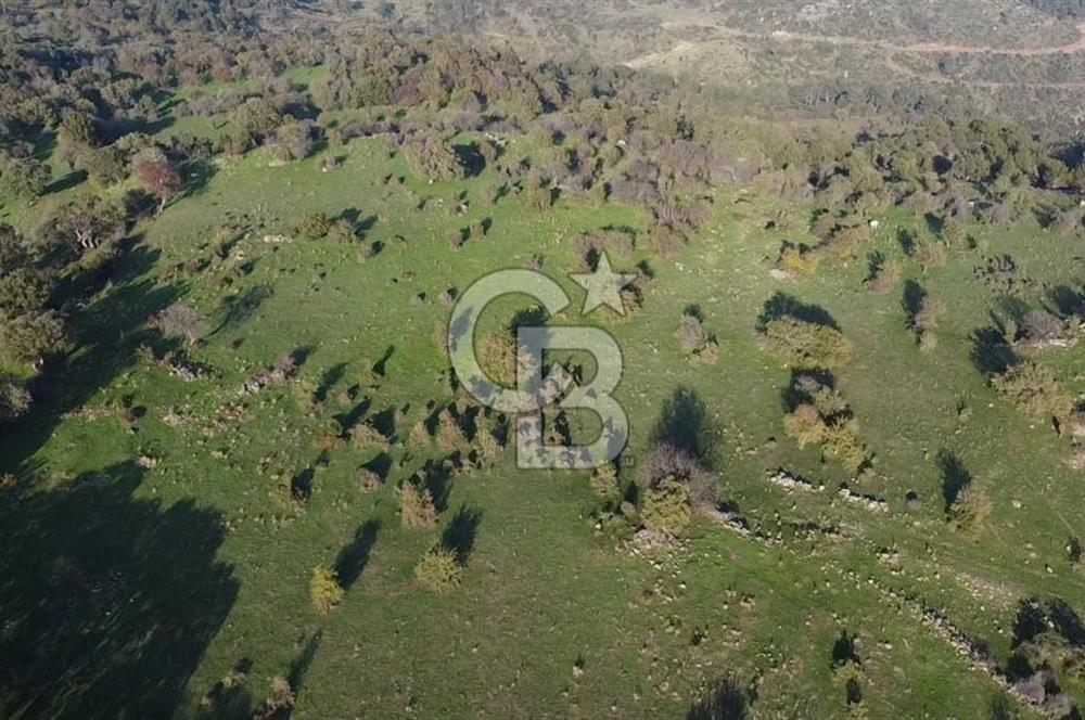  ÇANAKKALE AYVACIK PAŞAKÖY DENİZ MANZARALI YOLU OLAN 5001 M2 ARSA