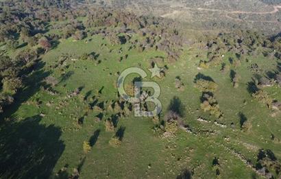  ÇANAKKALE AYVACIK PAŞAKÖY DENİZ MANZARALI YOLU OLAN 5001 M2 ARSA