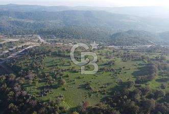  ÇANAKKALE AYVACIK PAŞAKÖY DENİZ MANZARALI YOLU OLAN 5001 M2 ARSA - 9 - 310095