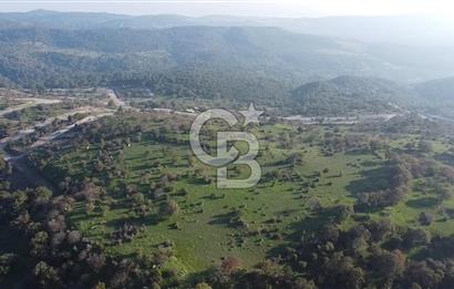  ÇANAKKALE AYVACIK PAŞAKÖY DENİZ MANZARALI YOLU OLAN 5001 M2 ARSA