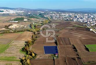 Samsun Kavakta Gelişen Bölge | 3.426 m² Yatırım Fırsatı - 8 - 312692