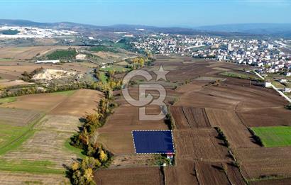 Samsun Kavakta Gelişen Bölge | 3.426 m² Yatırım Fırsatı