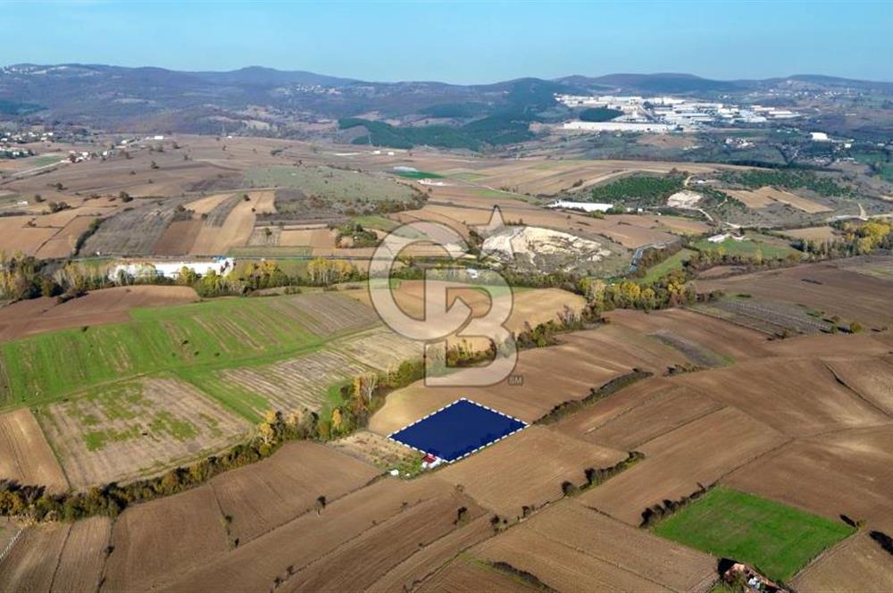 Samsun Kavakta Gelişen Bölge | 3.426 m² Yatırım Fırsatı
