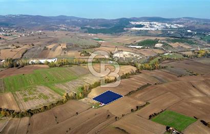Samsun Kavakta Gelişen Bölge | 3.426 m² Yatırım Fırsatı