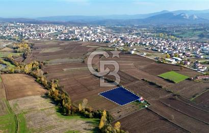 Samsun Kavakta Gelişen Bölge | 3.426 m² Yatırım Fırsatı
