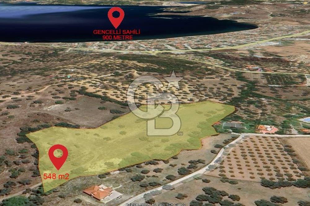 İzmir Foça Kozbeylide Satılık Tarla