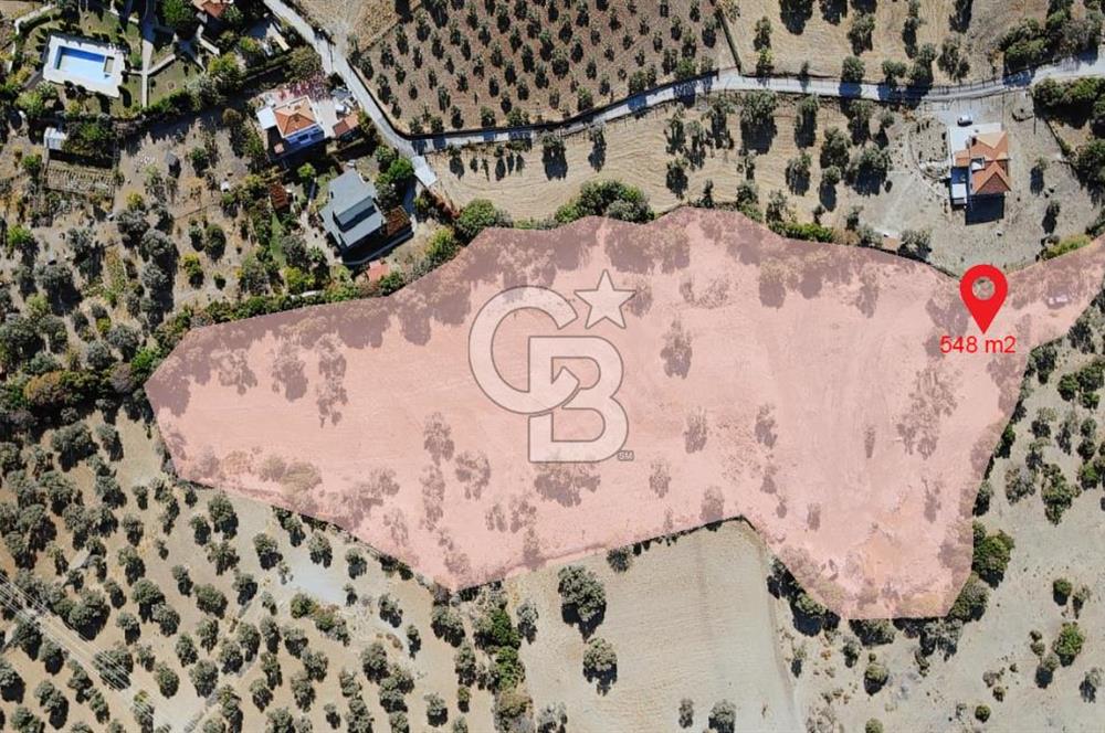 İzmir Foça Kozbeylide Satılık Tarla