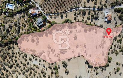 İzmir Foça Kozbeylide Satılık Tarla