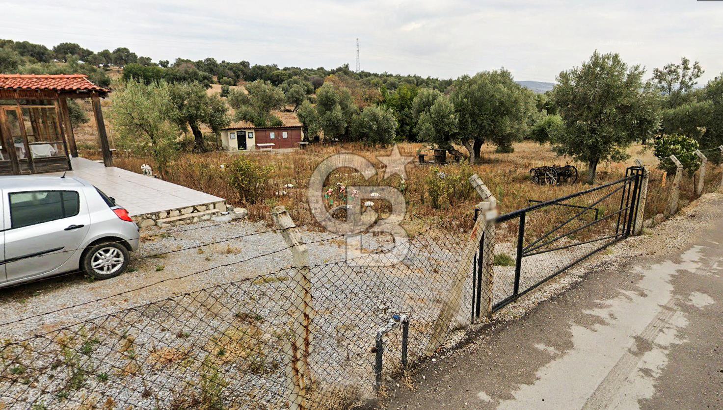 İzmir Foça Kozbeylide Satılık Tarla
