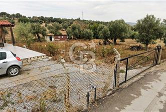 İzmir Foça Kozbeylide Satılık Tarla - 3 - 312702