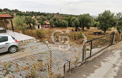 İzmir Foça Kozbeylide Satılık Tarla