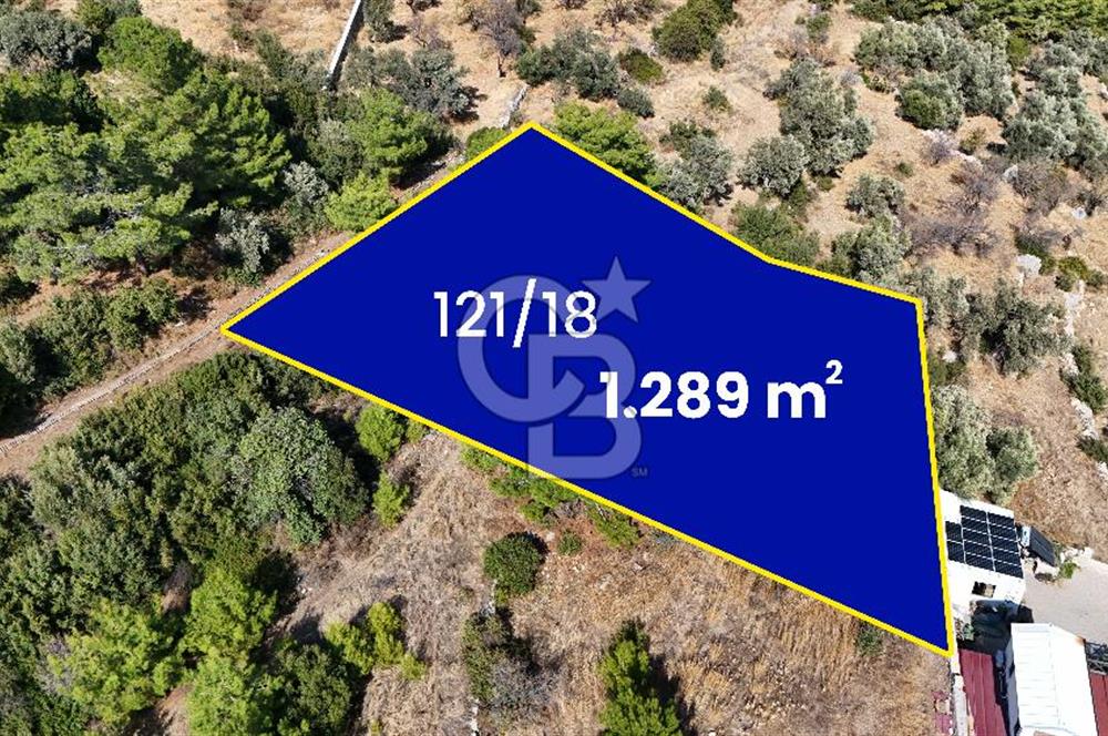 DATÇA MESUDİYEDE DENİZ MANZARALI YATIRIMLIK MÜSTAKİL TAPULU ARSA