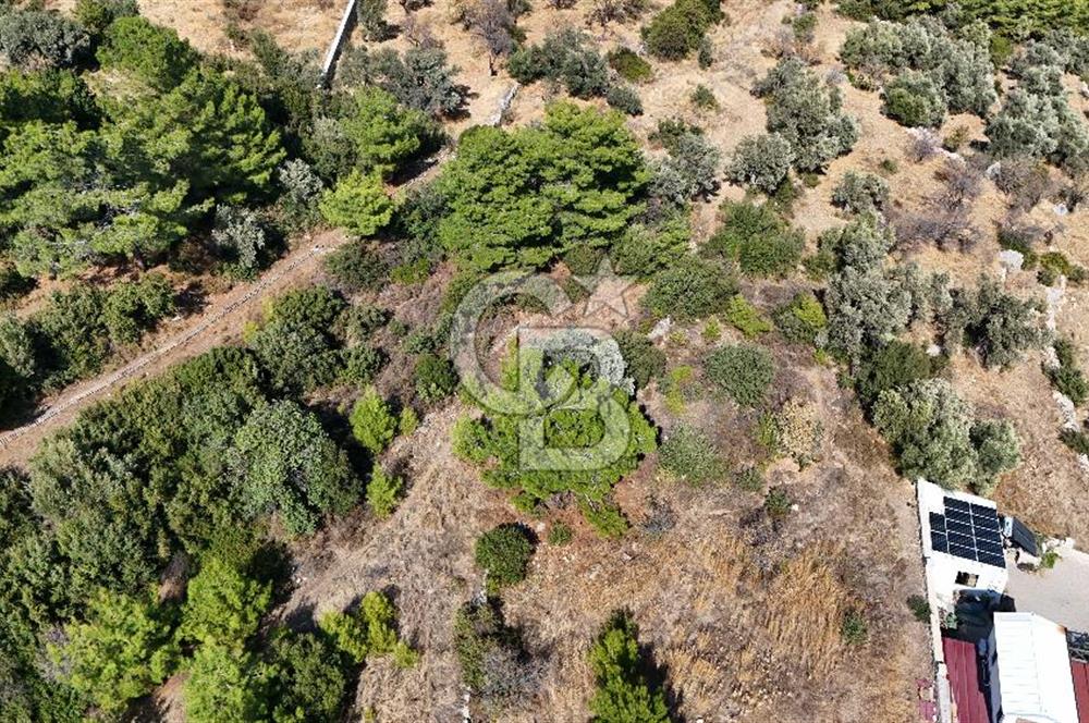 DATÇA MESUDİYEDE DENİZ MANZARALI YATIRIMLIK MÜSTAKİL TAPULU ARSA