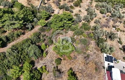 DATÇA MESUDİYEDE DENİZ MANZARALI YATIRIMLIK MÜSTAKİL TAPULU ARSA