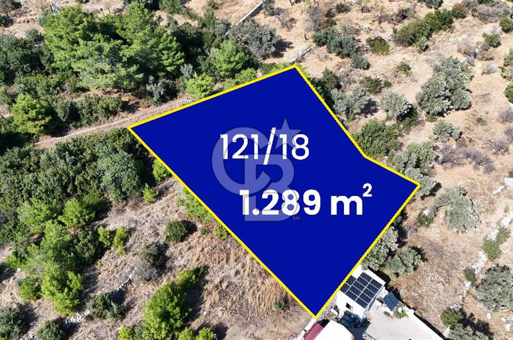 DATÇA MESUDİYEDE DENİZ MANZARALI YATIRIMLIK MÜSTAKİL TAPULU ARSA