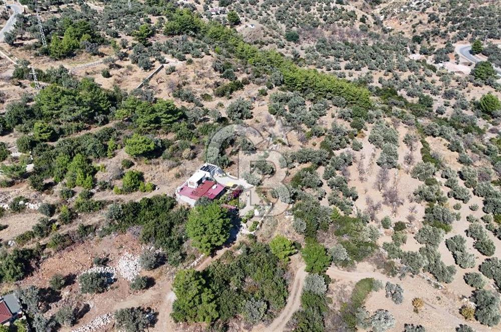 DATÇA MESUDİYEDE DENİZ MANZARALI YATIRIMLIK MÜSTAKİL TAPULU ARSA