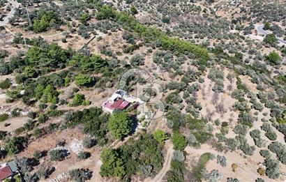 DATÇA MESUDİYEDE DENİZ MANZARALI YATIRIMLIK MÜSTAKİL TAPULU ARSA