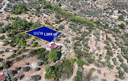 DATÇA MESUDİYEDE DENİZ MANZARALI YATIRIMLIK MÜSTAKİL TAPULU ARSA