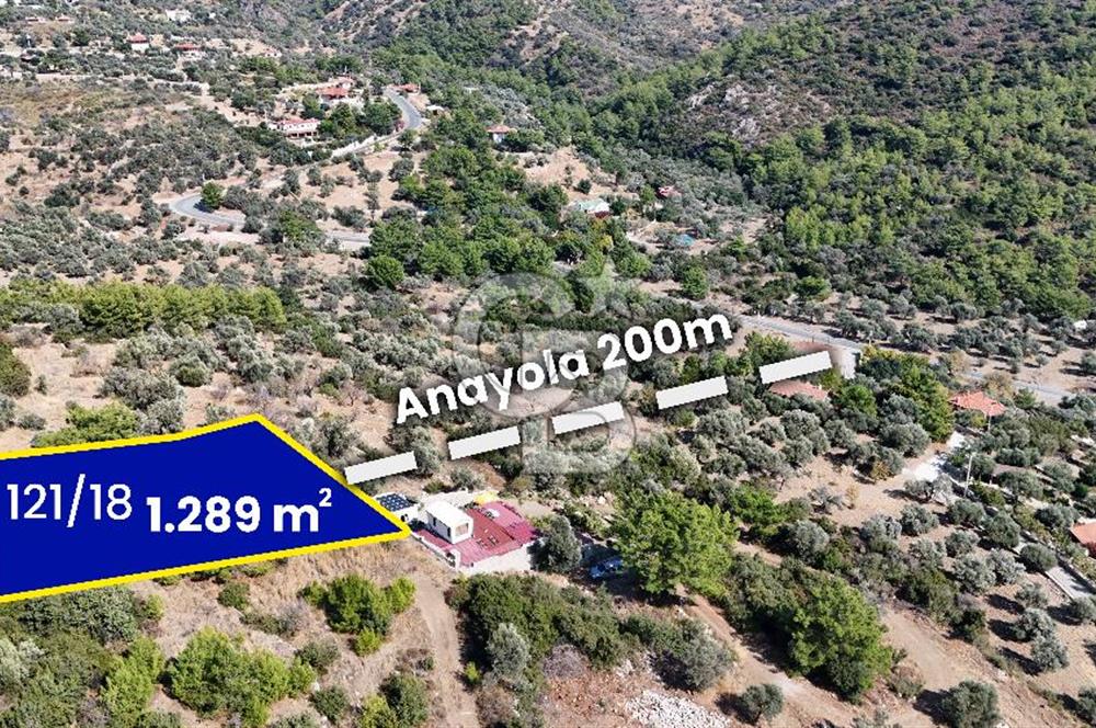 DATÇA MESUDİYEDE DENİZ MANZARALI YATIRIMLIK MÜSTAKİL TAPULU ARSA